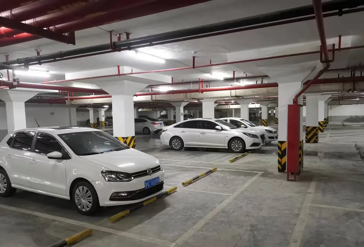 "干的漂亮!"青岛一哥们,花了12