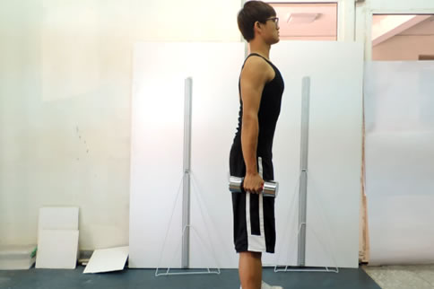 哑铃直腿硬拉动作要领介绍