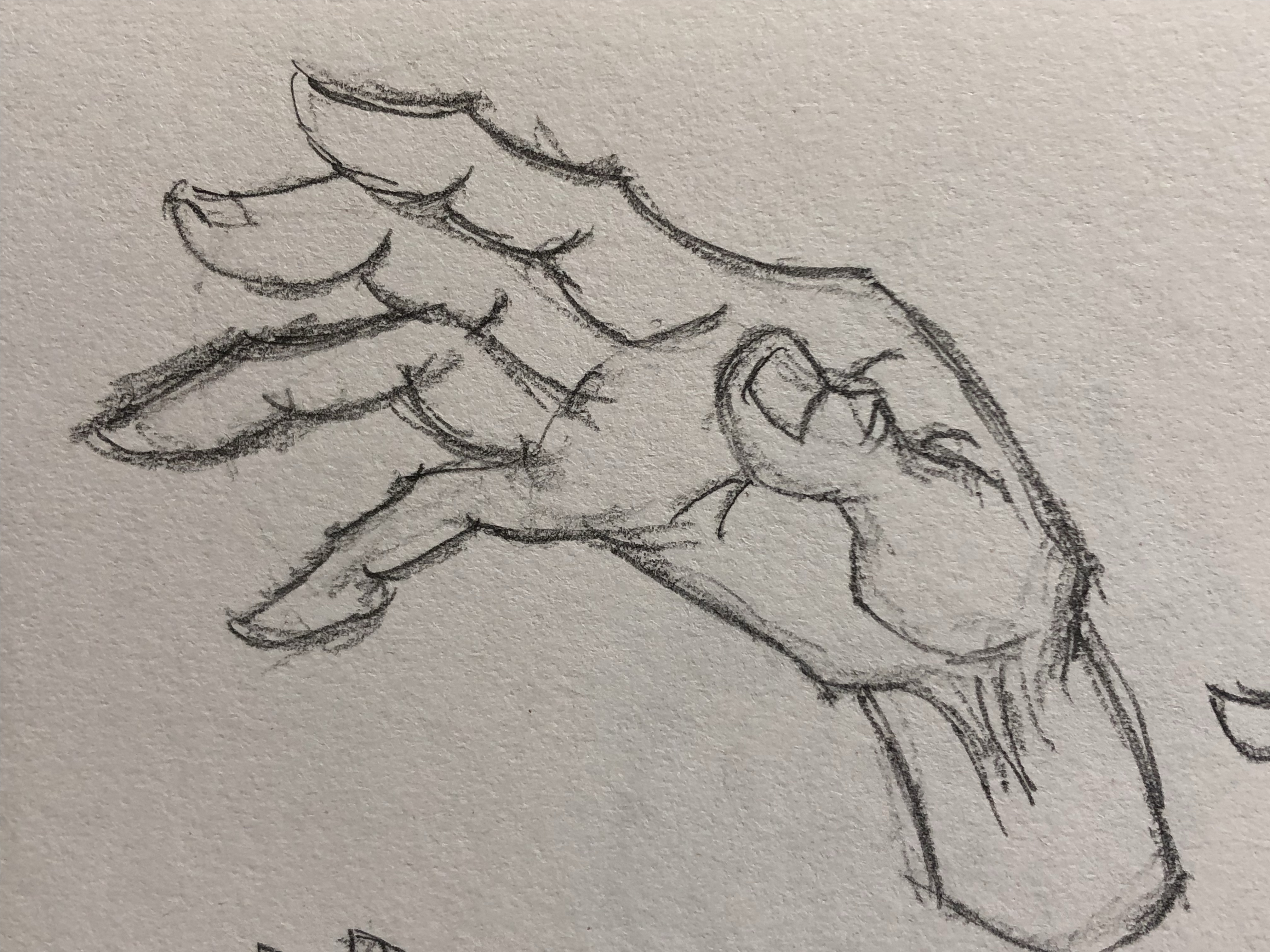 线性速写 手60#画画交流组# #美术生