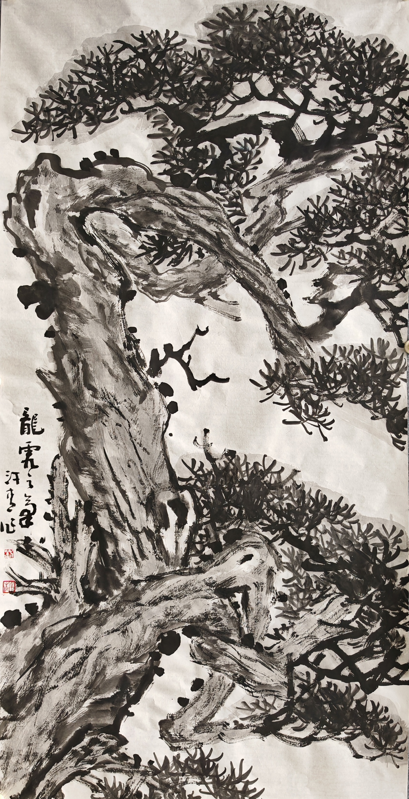 周末画了两幅四尺整张水墨古松,以书入画写成