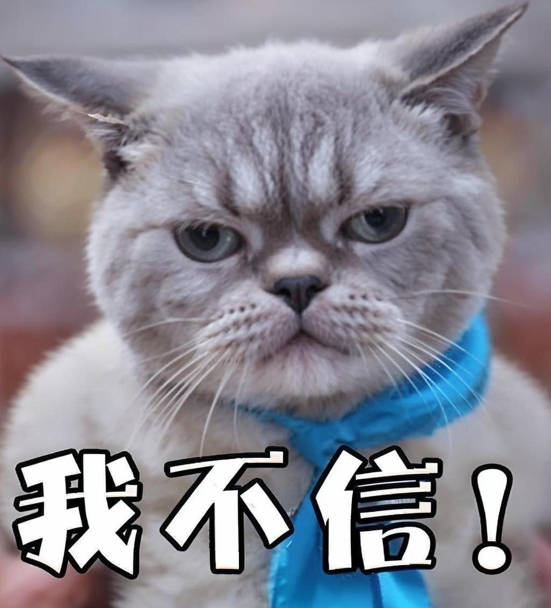 今天和您分享一条保命法则,不管闲事,不围观,不献血