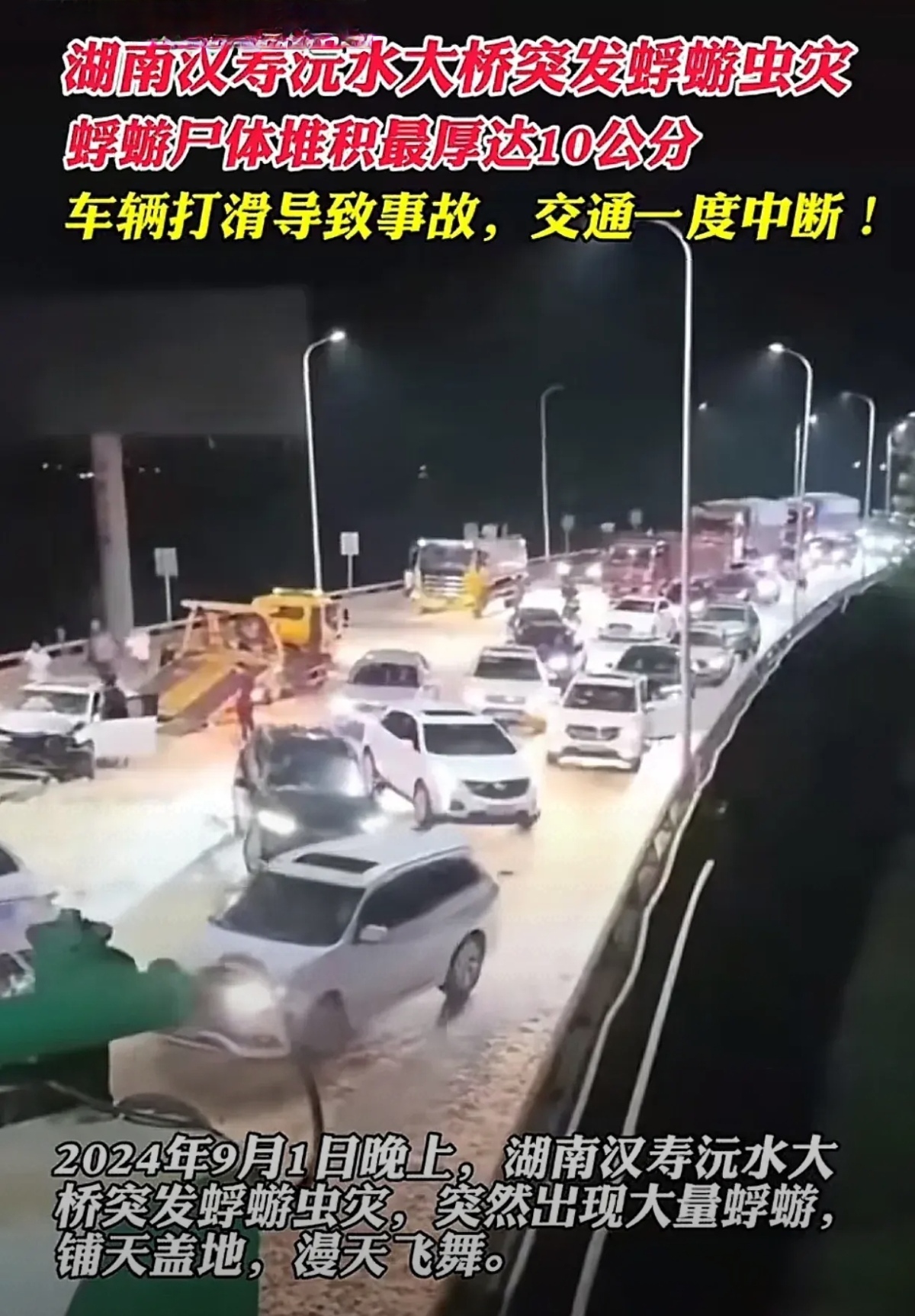 9月1日晚间,在湖南常德汉寿沅水大桥,多辆车相撞,并出现了严重的
