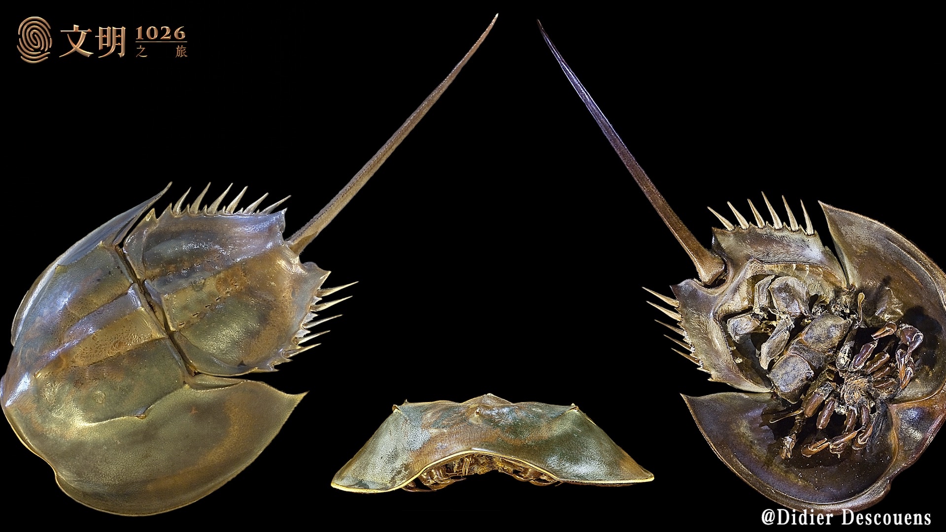 更重要的是,你敞开心胸,迎接外部资源的撞击,和它们