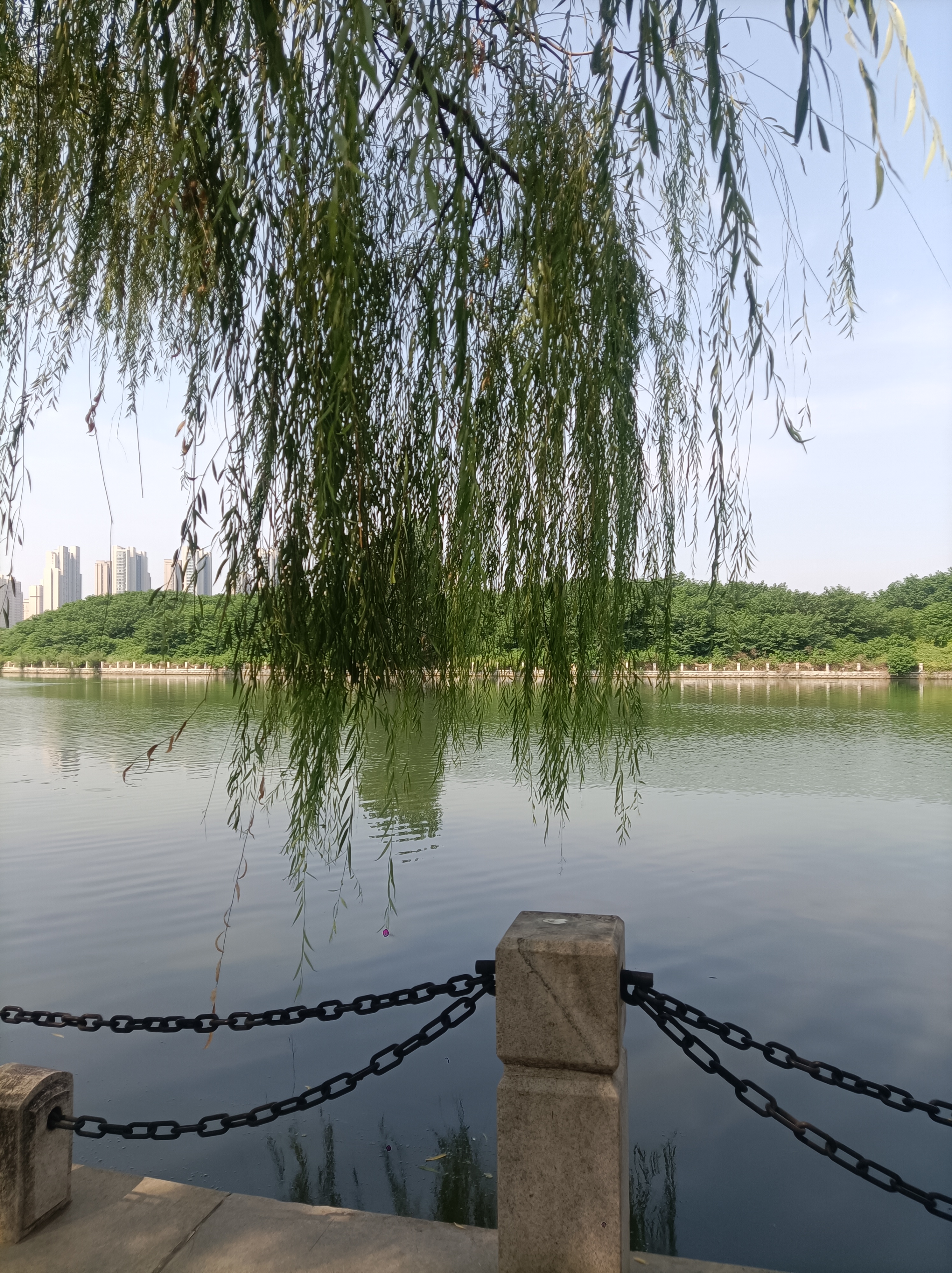 美丽的风光,美丽的景,赏赐此风光如痴如醉,游郑州赏美景