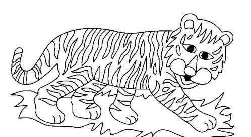 如何画老虎简笔画