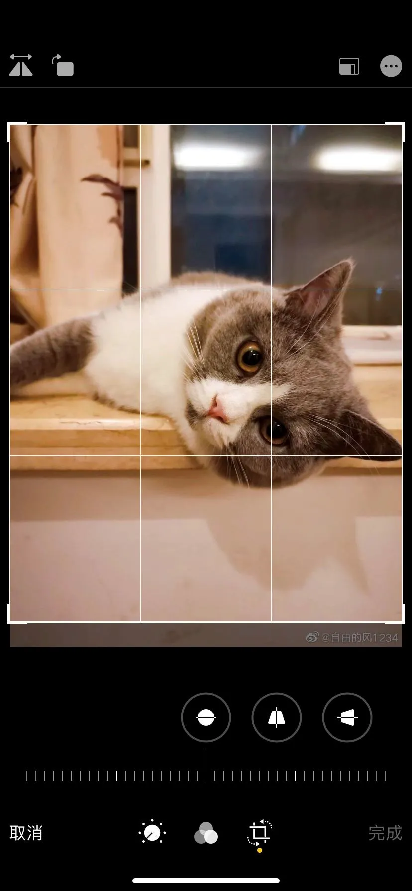 图片无痕去水印?不再为水印妥协!