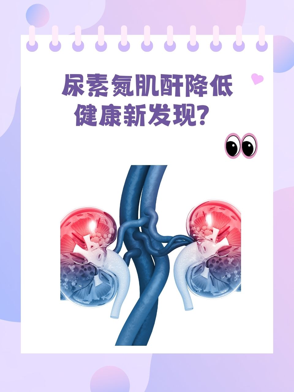 尿素氮偏高是怎么回事图片