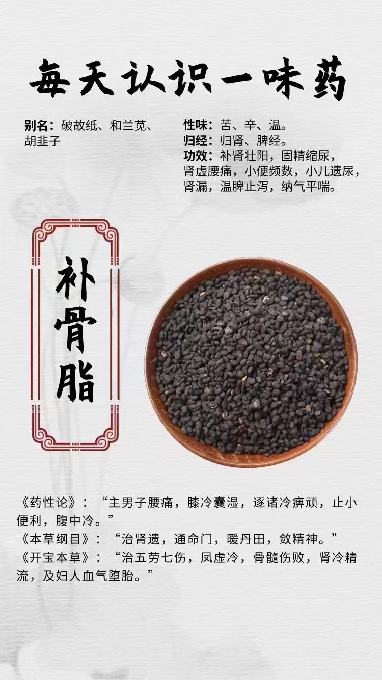 动态流量挑战赛# 中药材之补骨脂别名:破故纸,和兰苋,胡韭子性味:苦