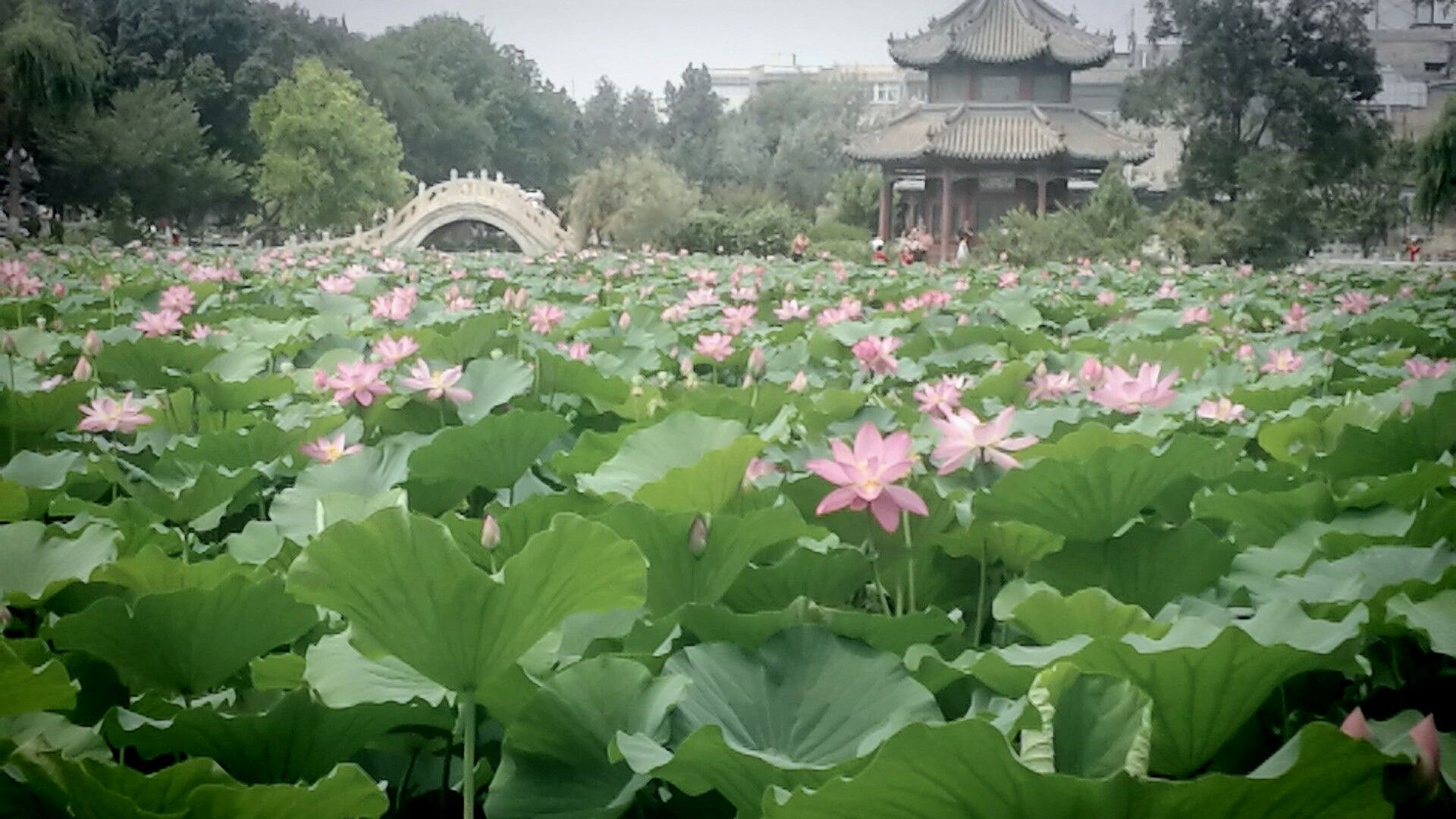 保定莲池区旅游景点图片