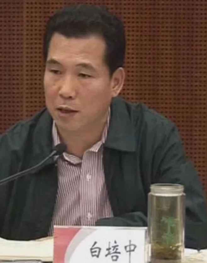 白培中是谁?他如何迷失自己?结局如何?