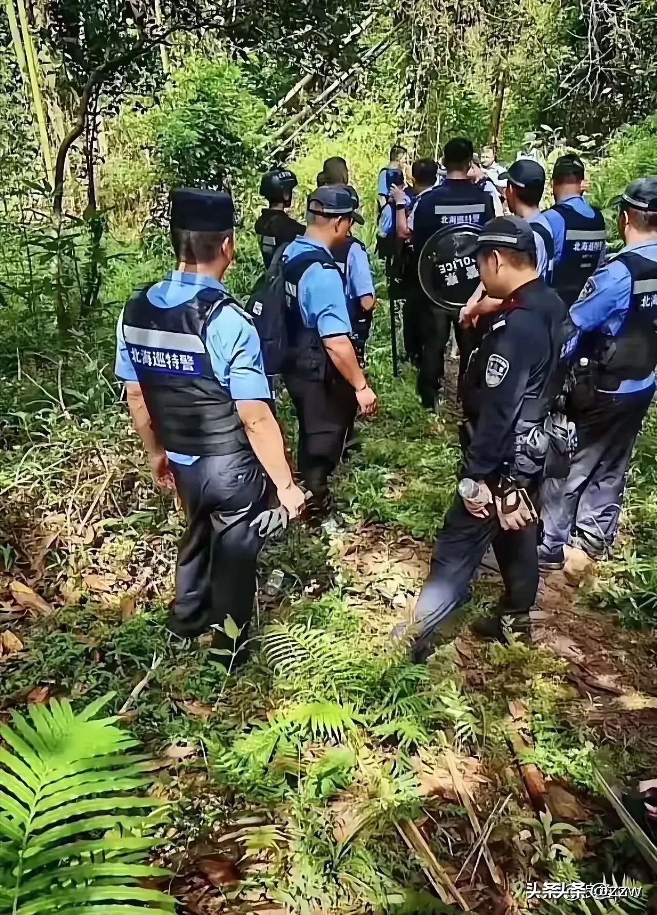 确实,直觉告诉我,他的藏身之处或许并不局限于人们