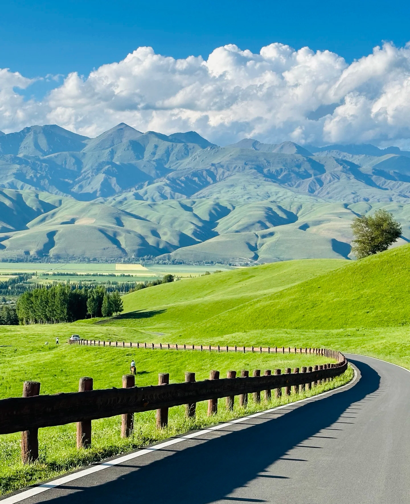 来那拉提草原一定要买自驾票,盘龙古道是真的很美,有一种能非常治愈