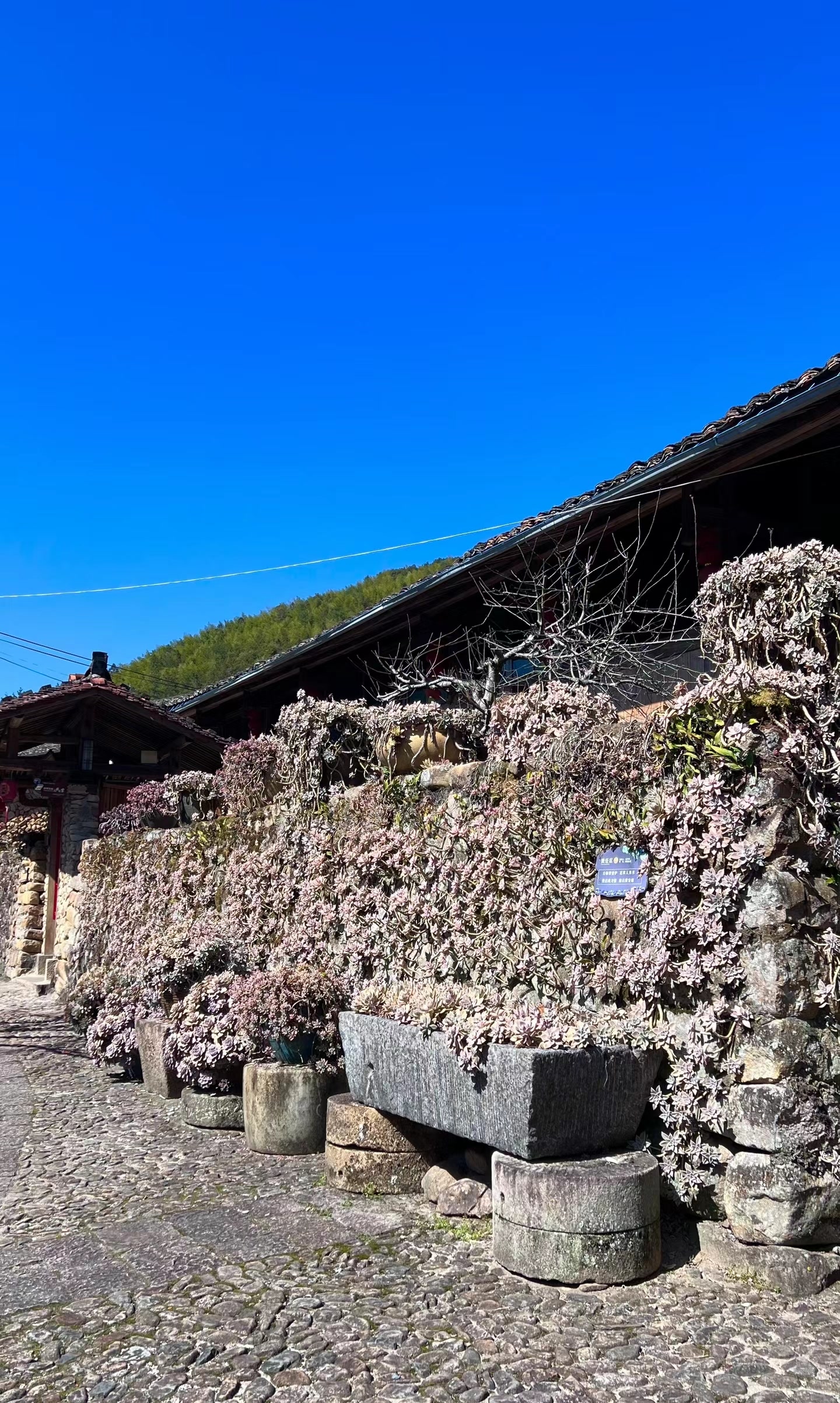 浙江宁海的许家山石头村,其历史可以追溯到明洪武时期,在明代曾是象山
