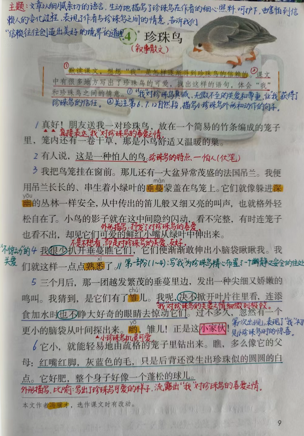 五年级上册语文,第4课《珍珠鸟》笔记及同步练习,收藏备用#五年级语文