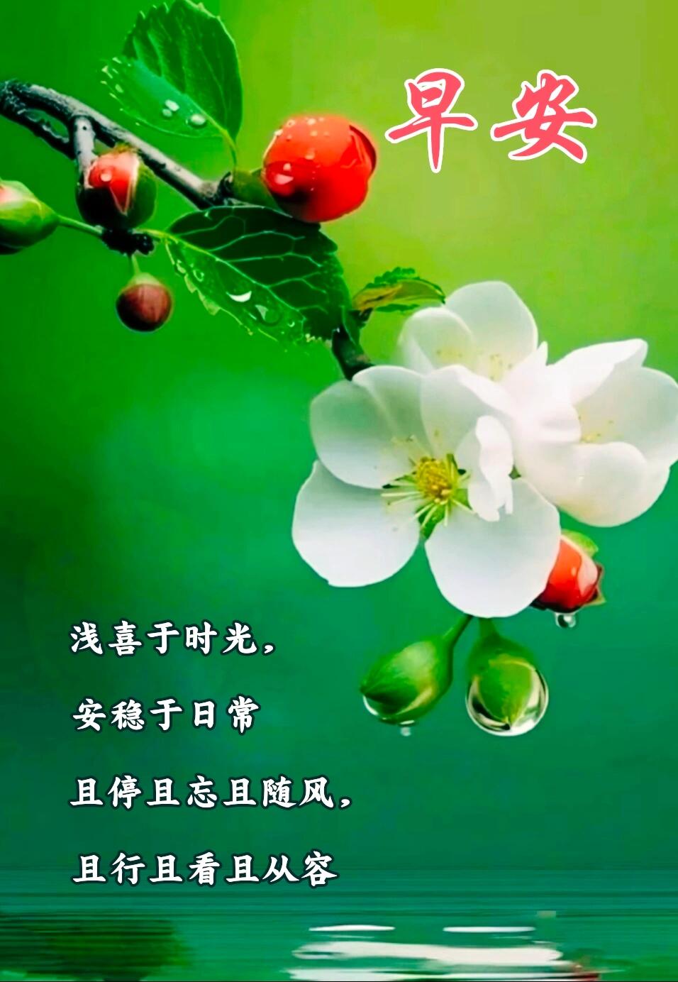 《怀揣希望与勇气,迎接新的挑战》