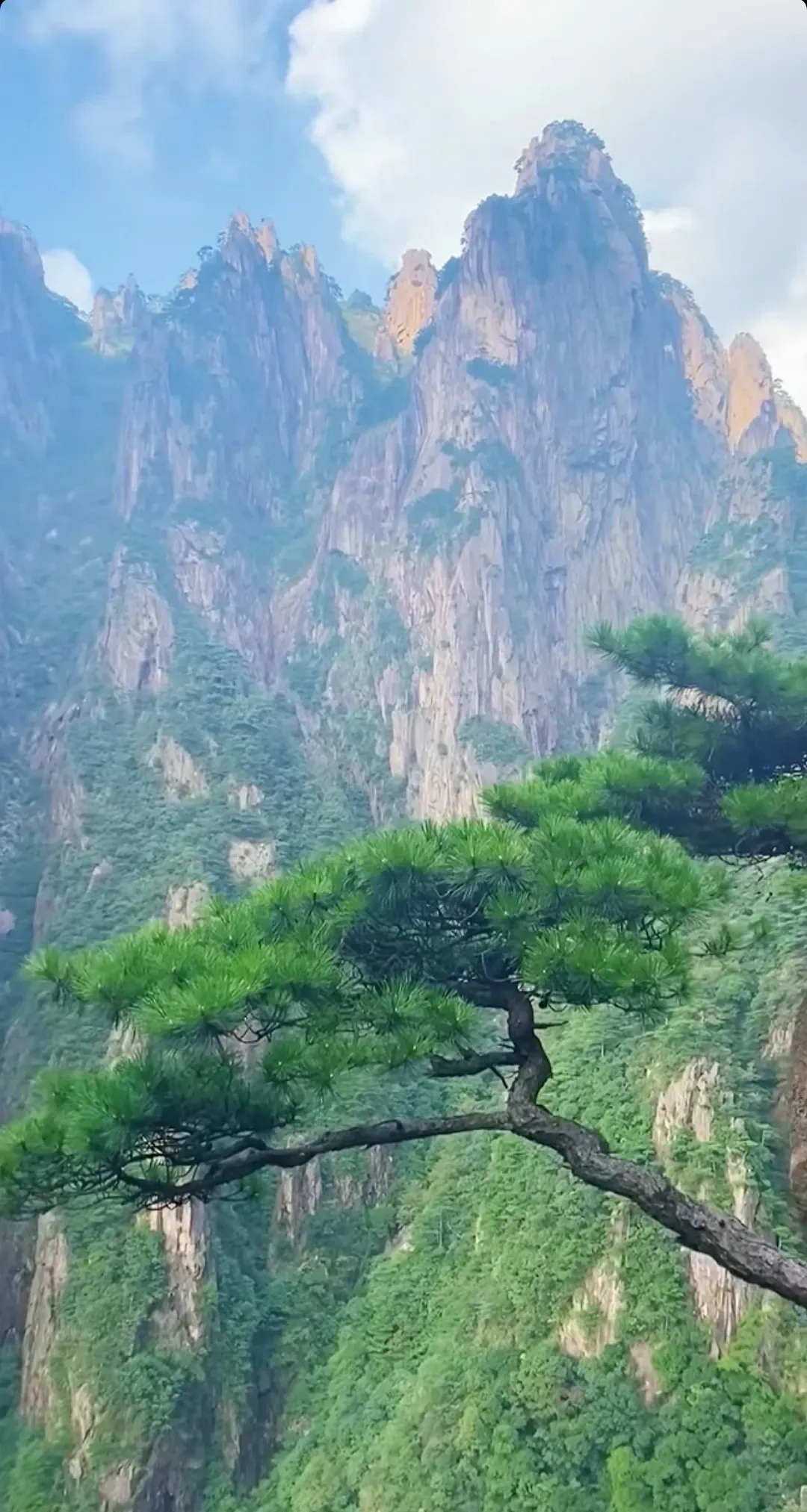 镜头聚焦西海大峡谷,带你领略云端风景.