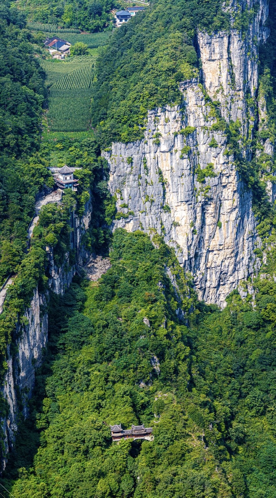 今天,我要带大家走进一个相对小众却同样惊艳的景点