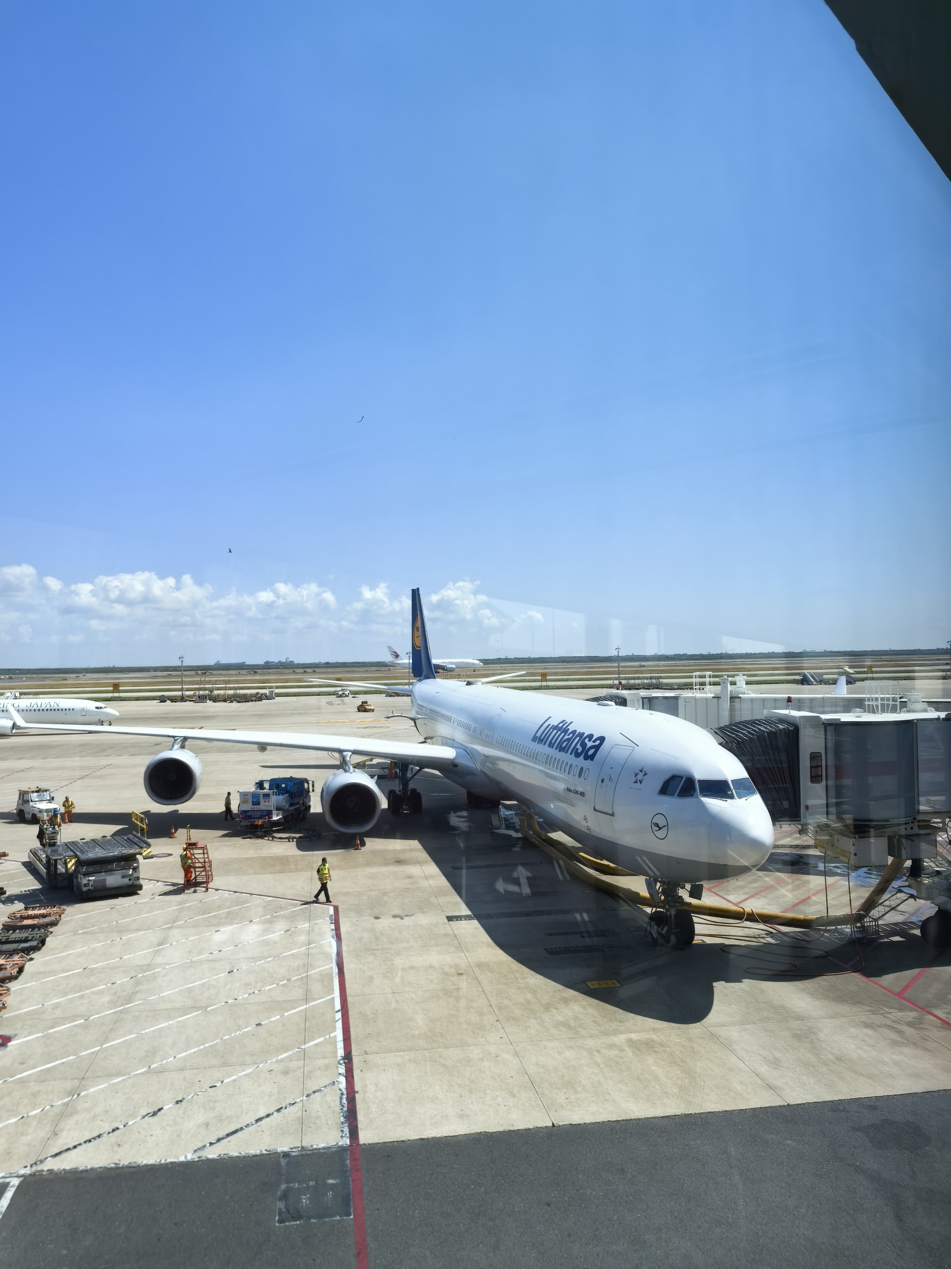 晨风徐徐唐郡处, 启程创新图. 瞭望全球商机触