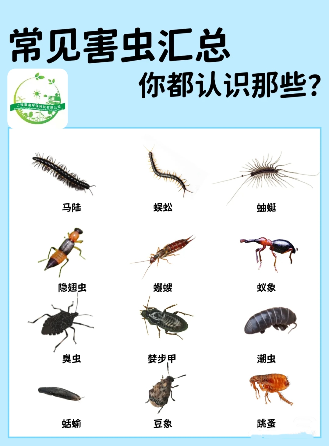 常见害虫汇总,你都认识哪些?上海虫害防治专家,专业除虫