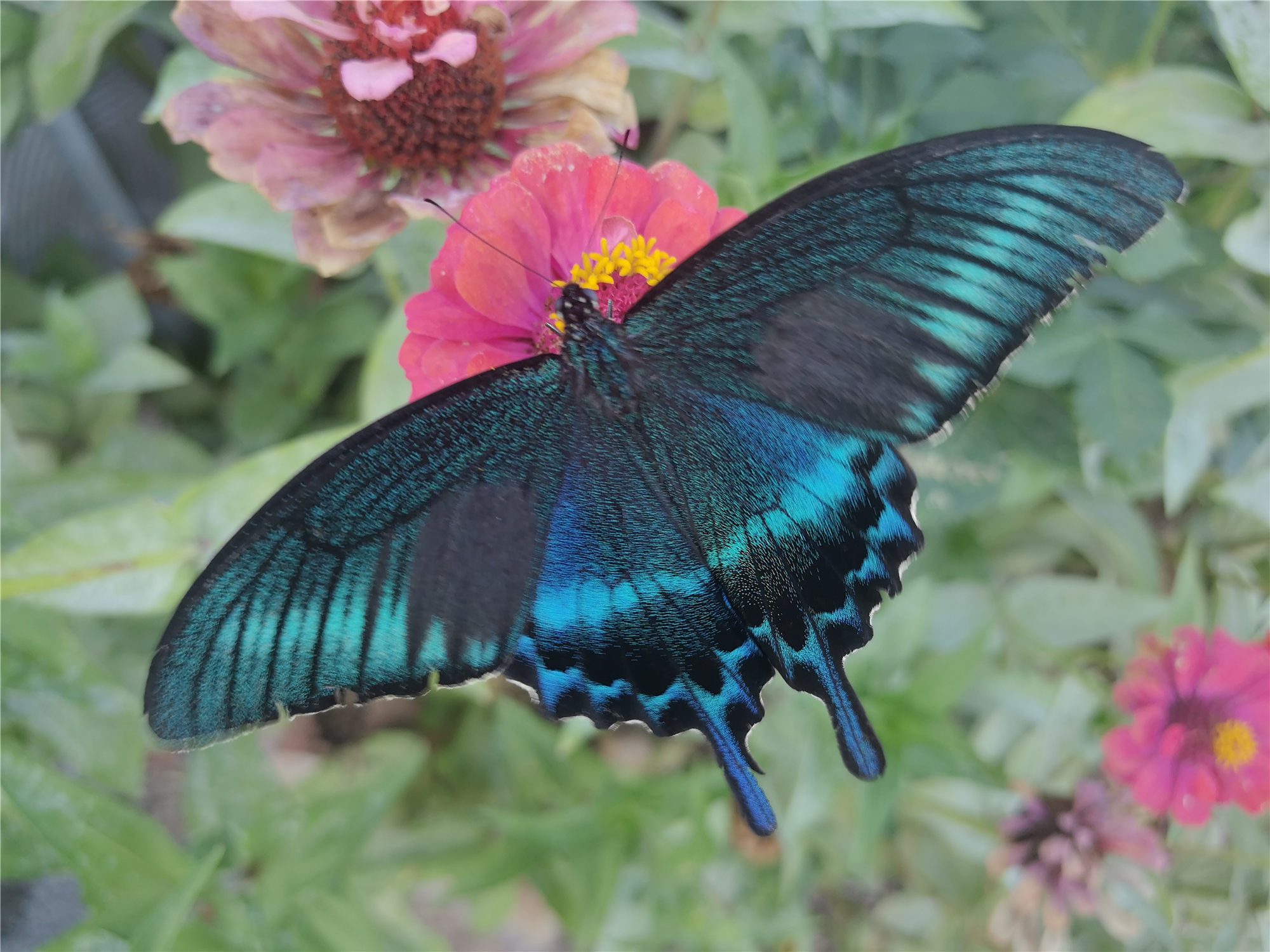 杠杠滴# #振兴新突破辽宁杠杠滴# 【青山绿水】辽宁省清原满族自治县