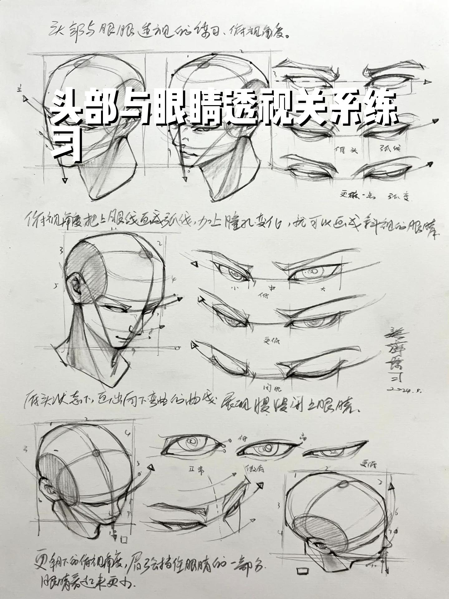 头部与眼睛透视关系练习