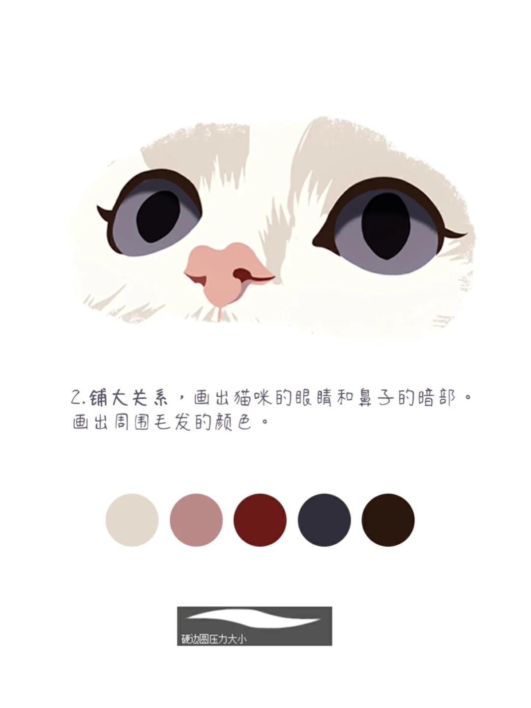 绘画教程|步骤超详细的猫咪眼睛画法 很多宝子问我猫眼睛怎么画[哭惹r