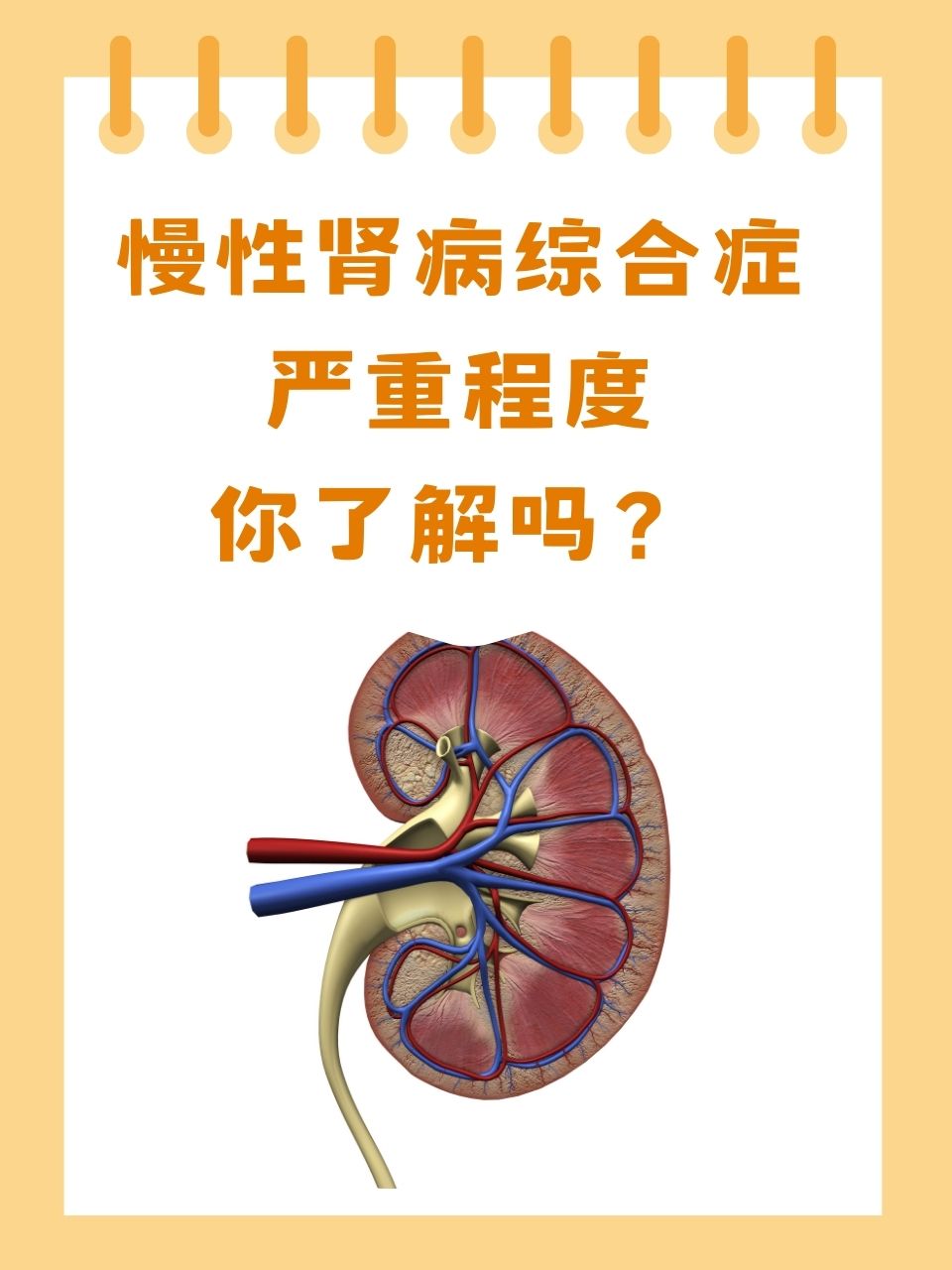 慢性肾病综合症:严重程度你了解吗?