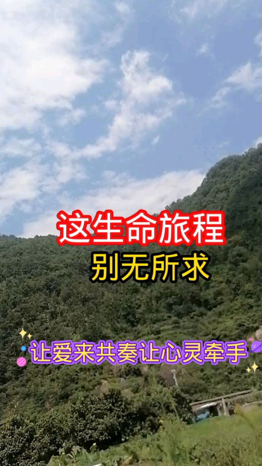 这生命旅程别无所求
