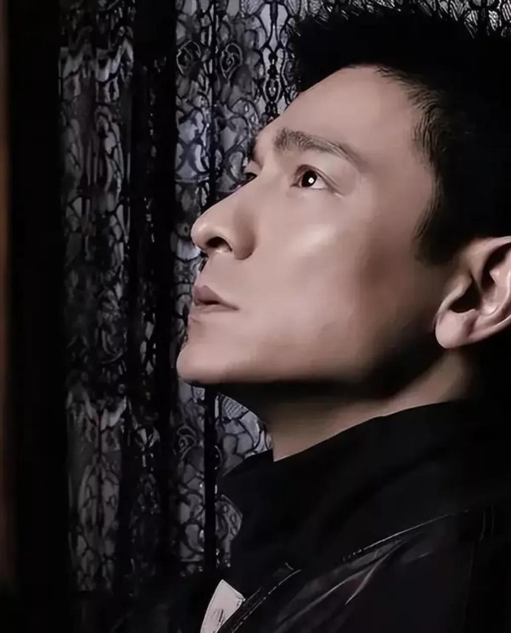 刘德华的侧脸很有型,忧郁的眼神,颧骨偏高,浓浓的眉毛,勾勾的鼻子,薄