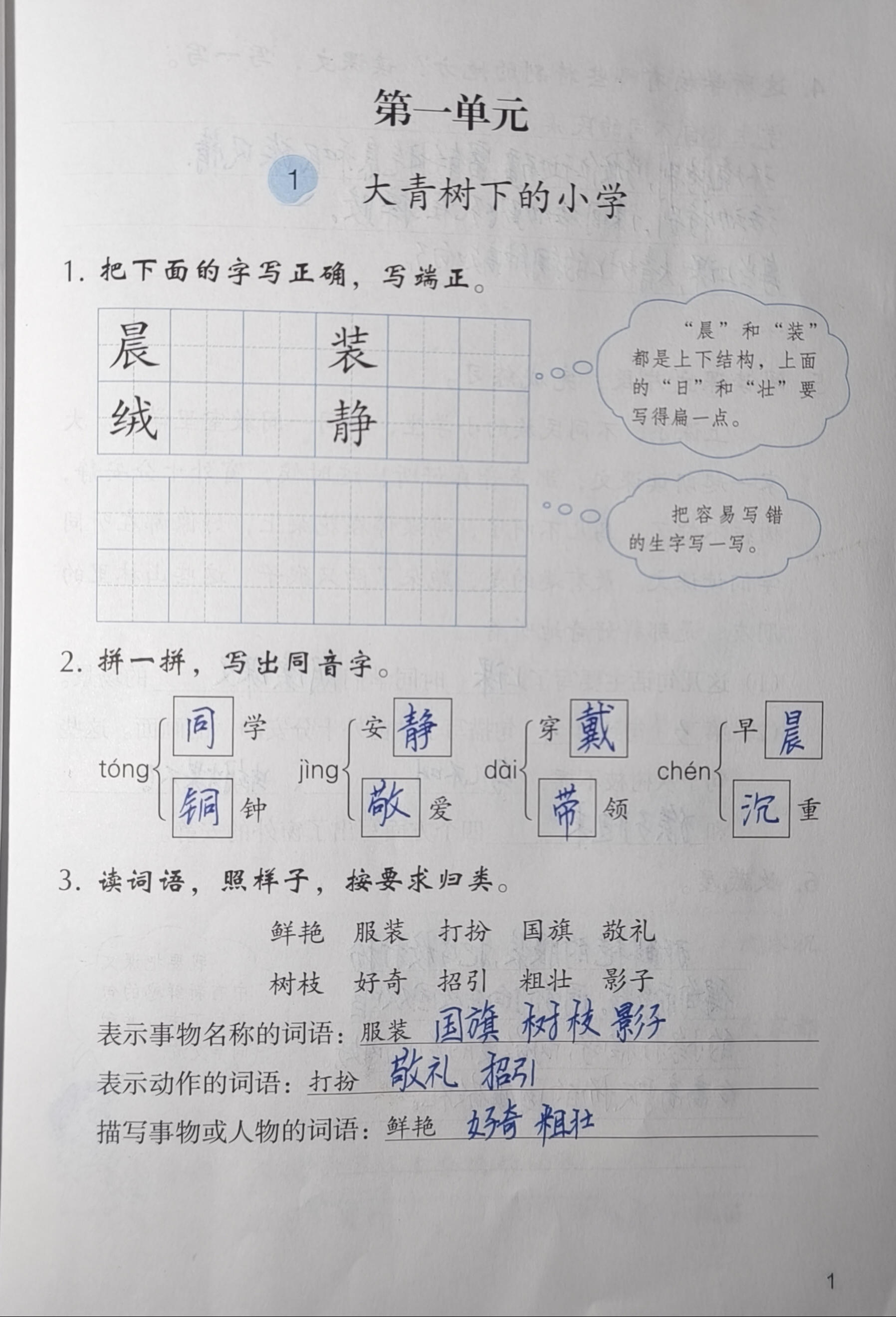 大青树上的小学生字词图片