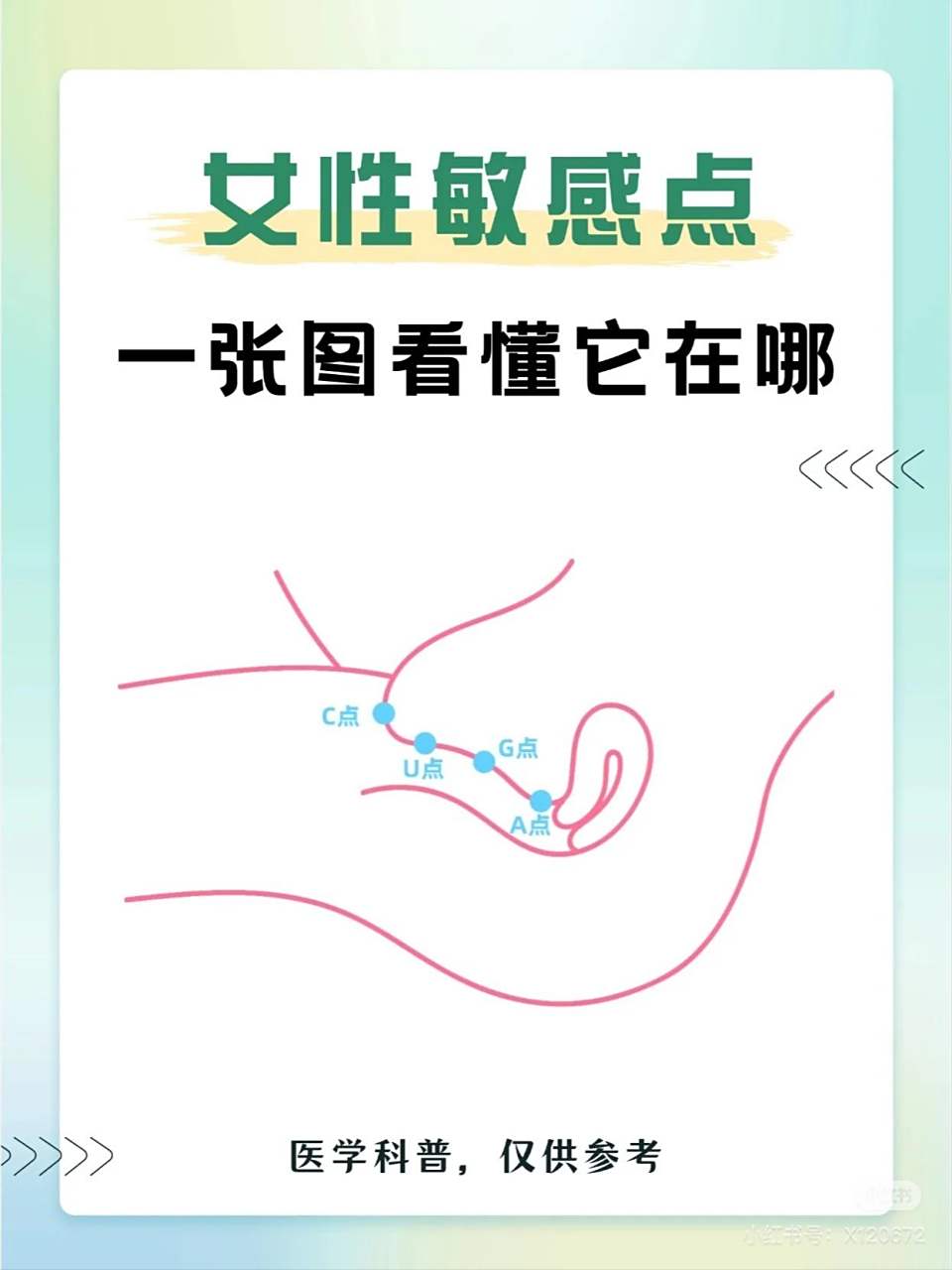 你知道女性的敏感点在哪里吗? a点 :被称为"女性前列腺"