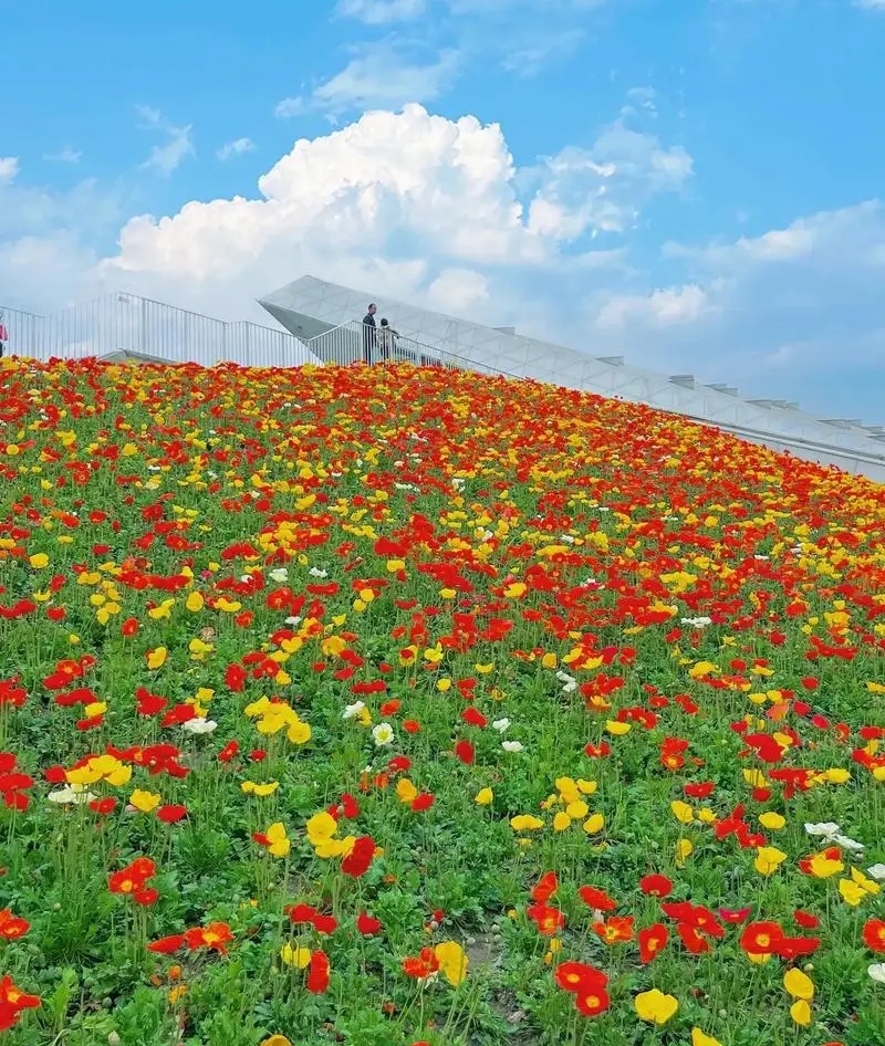 一段特别通透的话:"上班最大的意义不仅仅是那点工