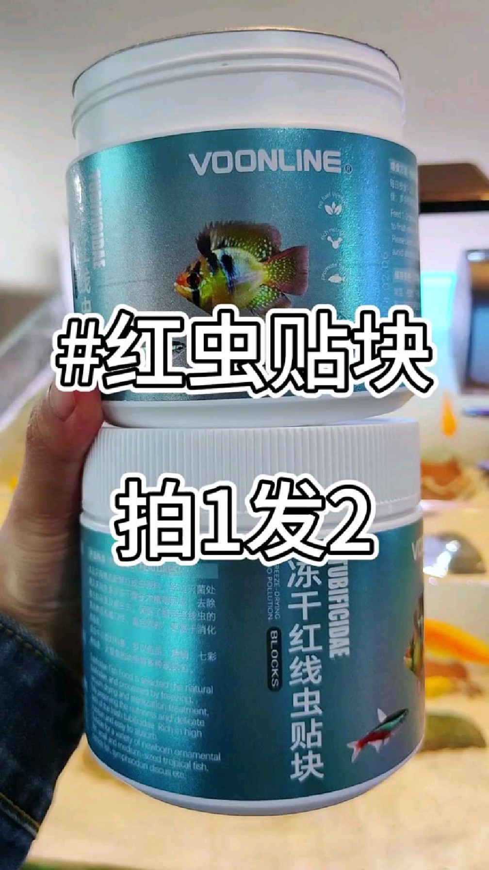 红虫 铁线虫图片