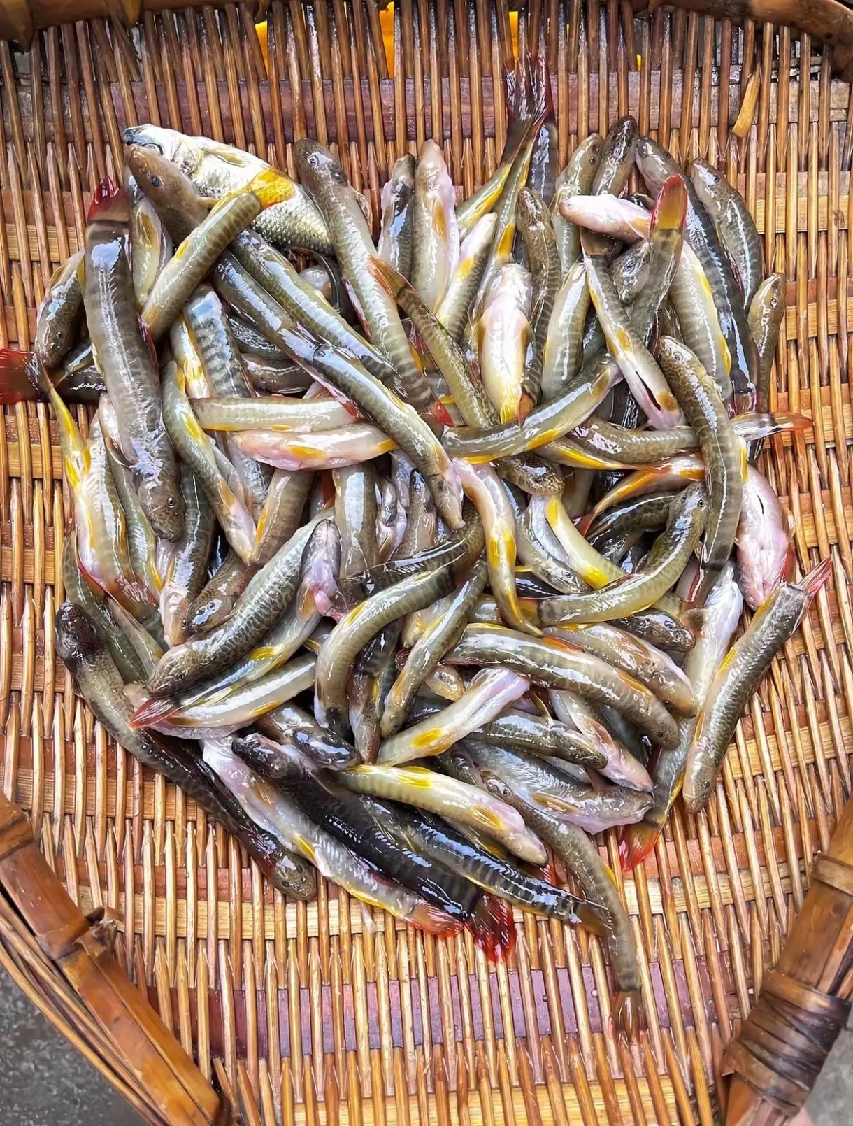 城市总是车水马龙,一片繁华的景象