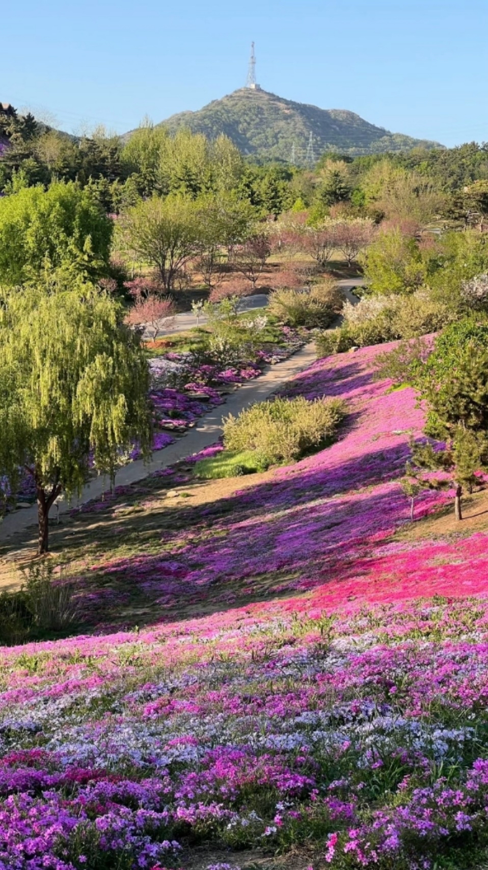 玄学提醒:尽量减少和过去的磁场交集,那里已经没有你需要的了