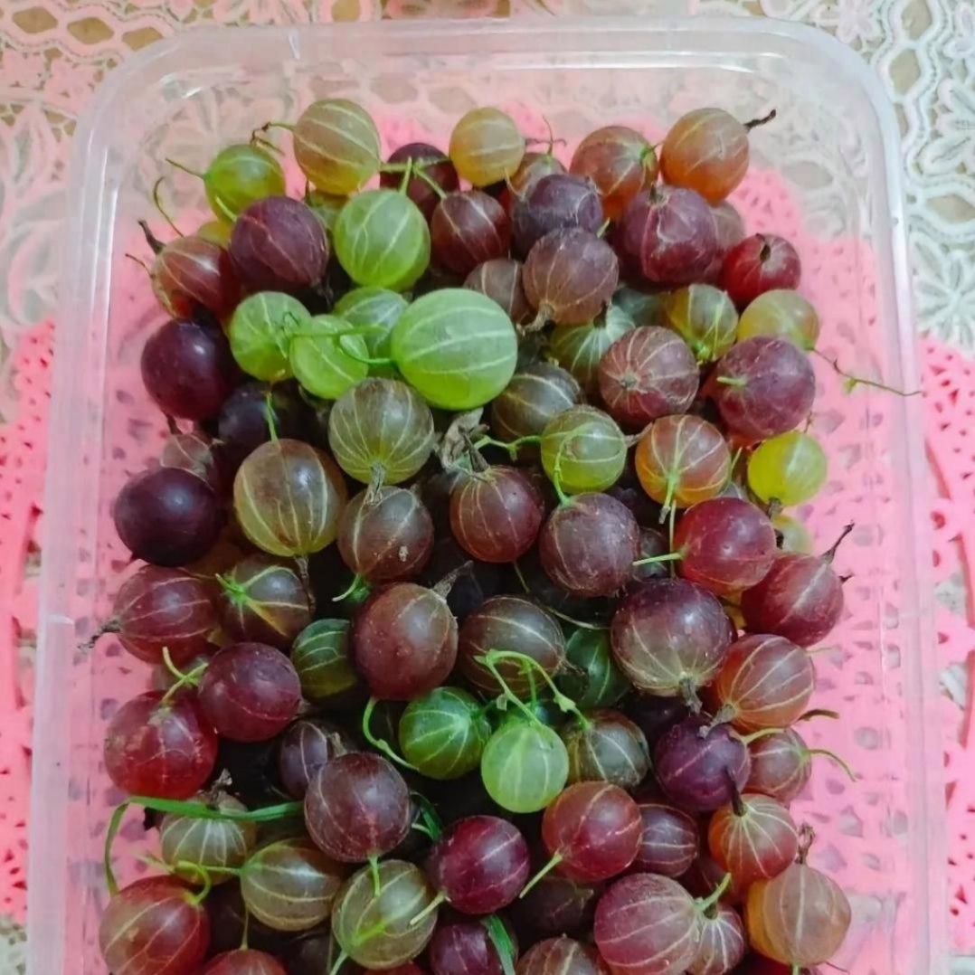 总不能让客人干坐着吧!