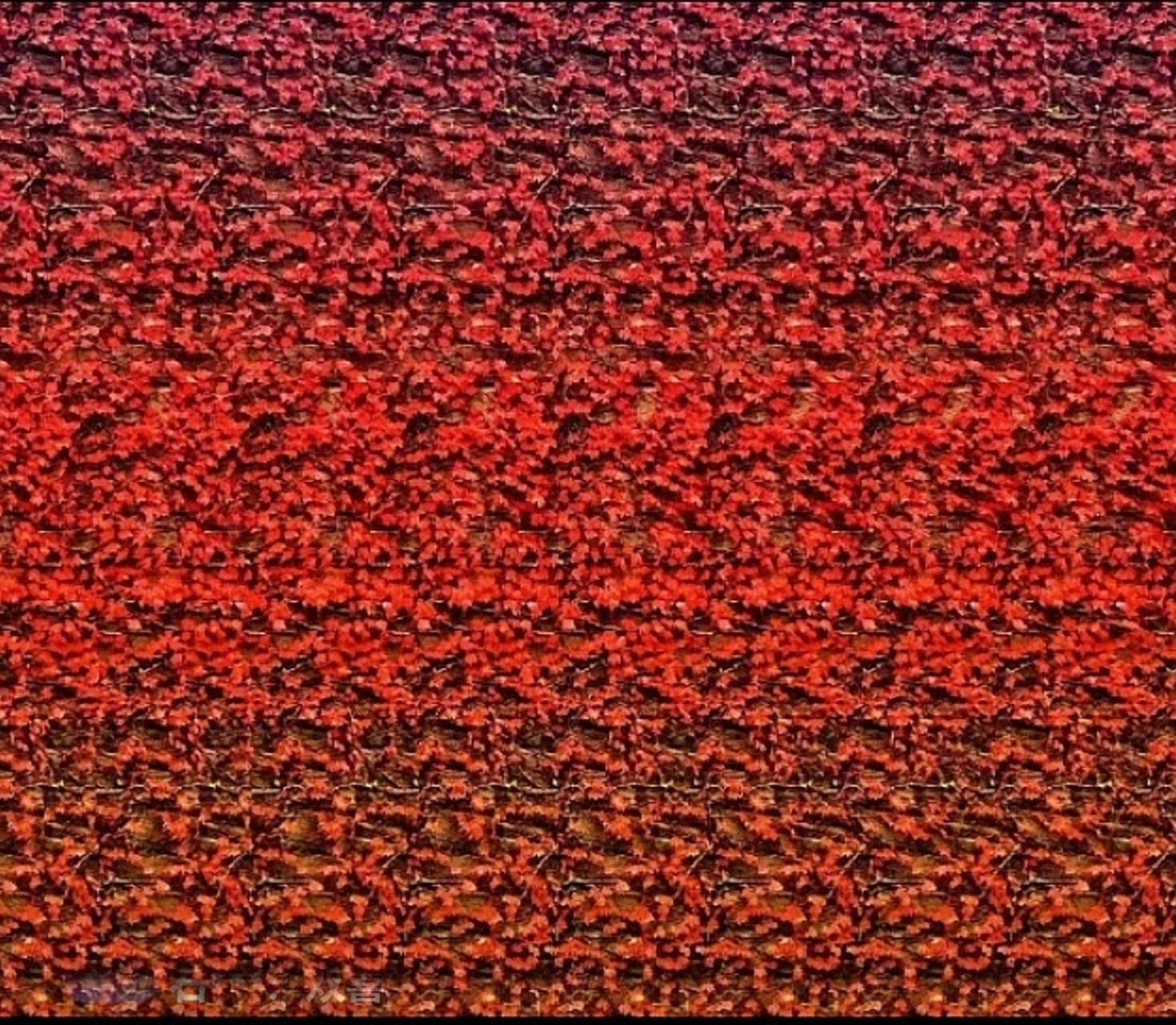 三维立体画,能看出来么?