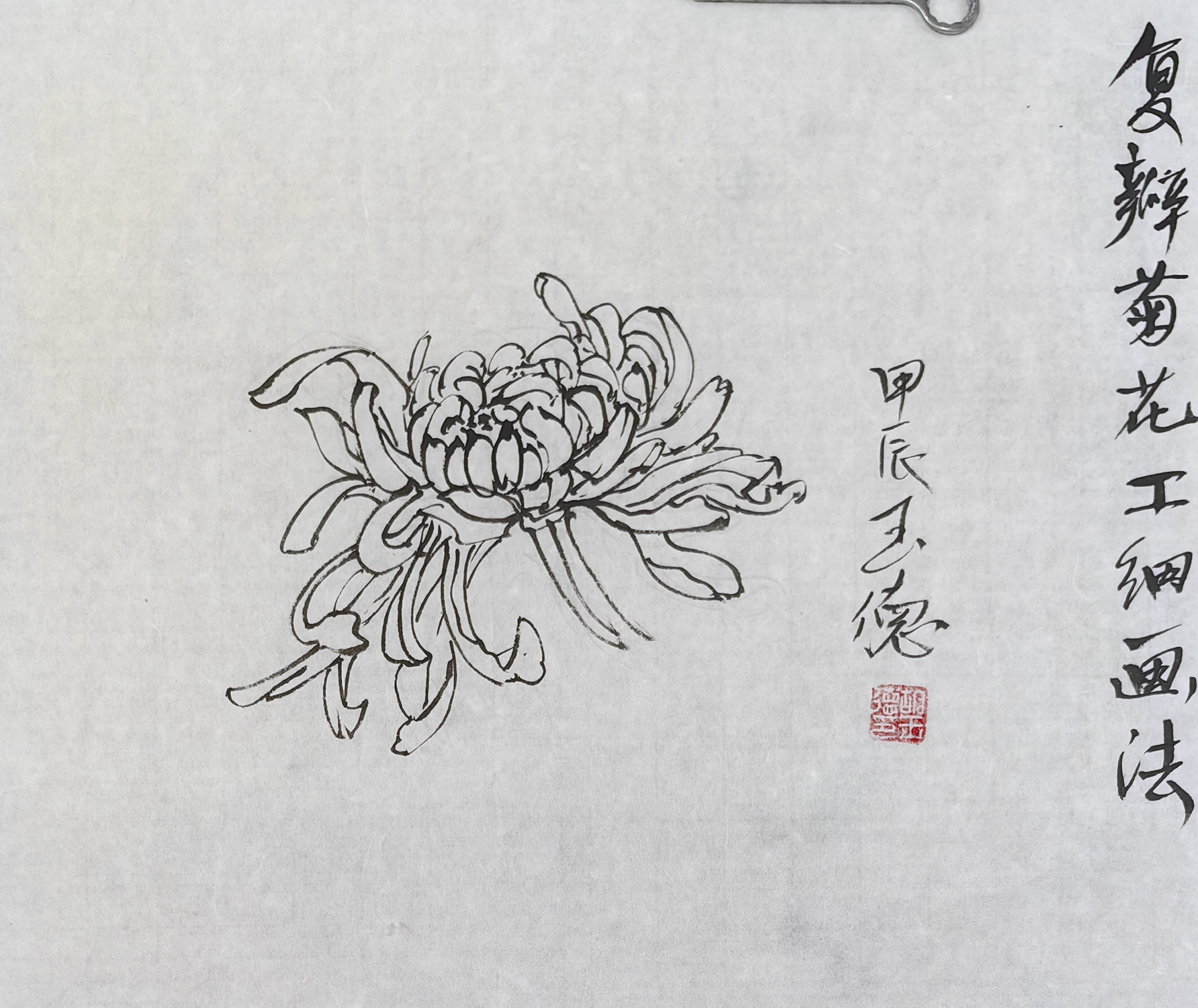 三秋佳节菊花送香