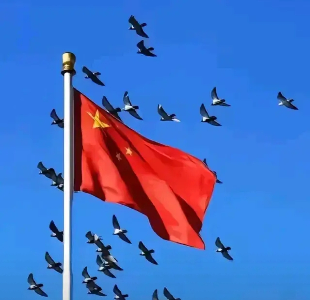 司法腐败,比黑社会危害严重千万倍,犹如一颗毒瘤,侵蚀公平正义