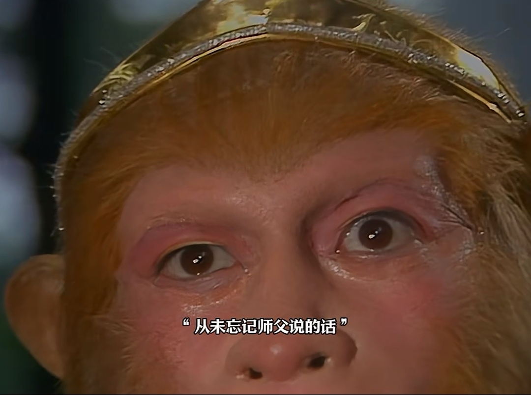 人到中年了,真的不能看西游记了,有了孙悟空的烦恼,猪八戒的肚子,沙