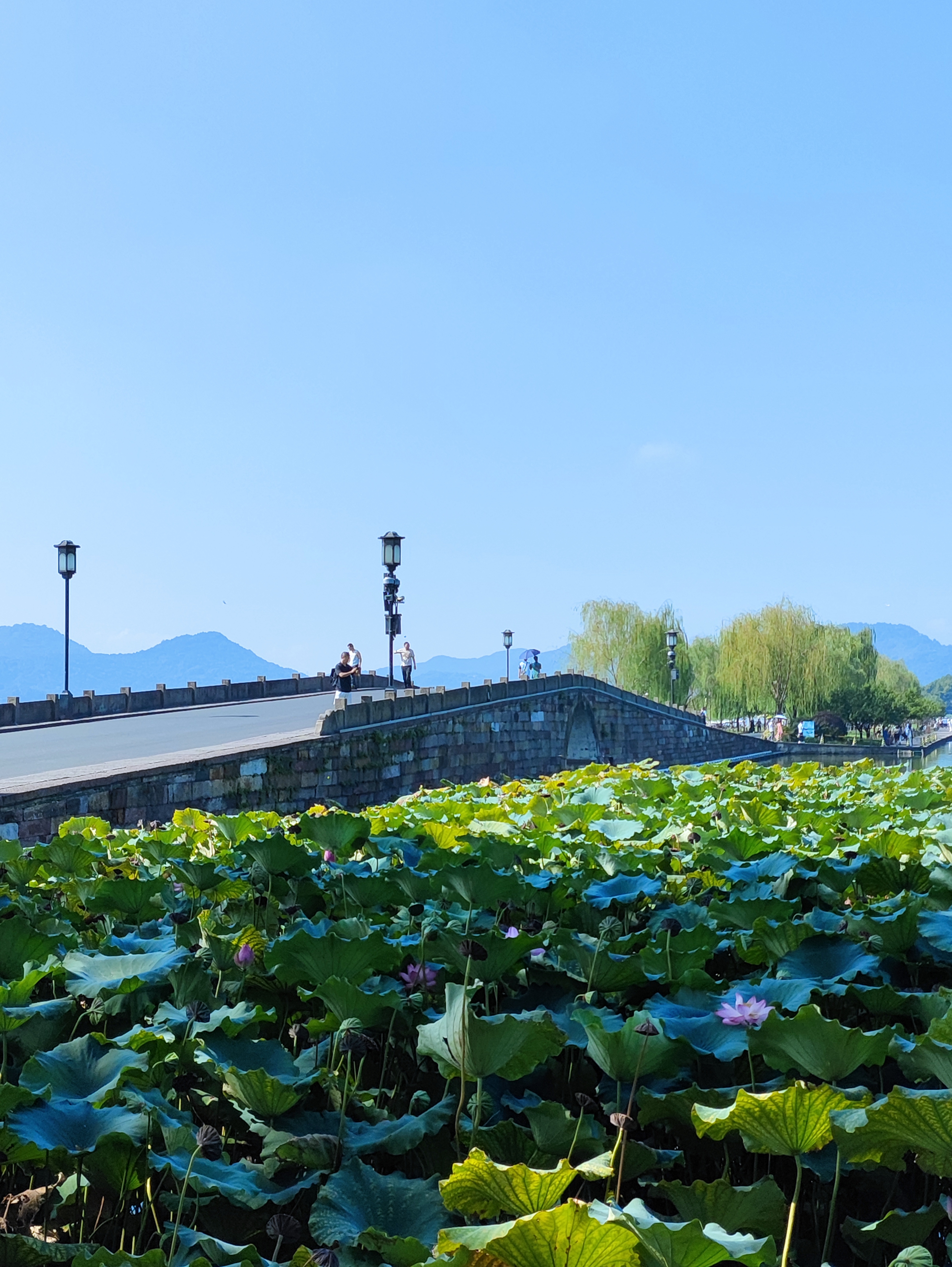 断桥并不美,但总有人慕名而来,包括我!#杭州西湖美景