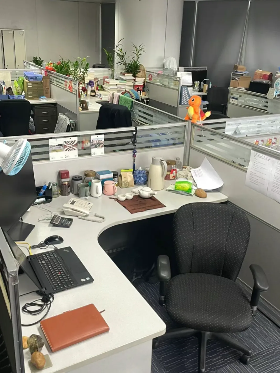 羡慕妒忌恨,办公室的同事的儿子,在清华大学读直博,今天她又在办公室