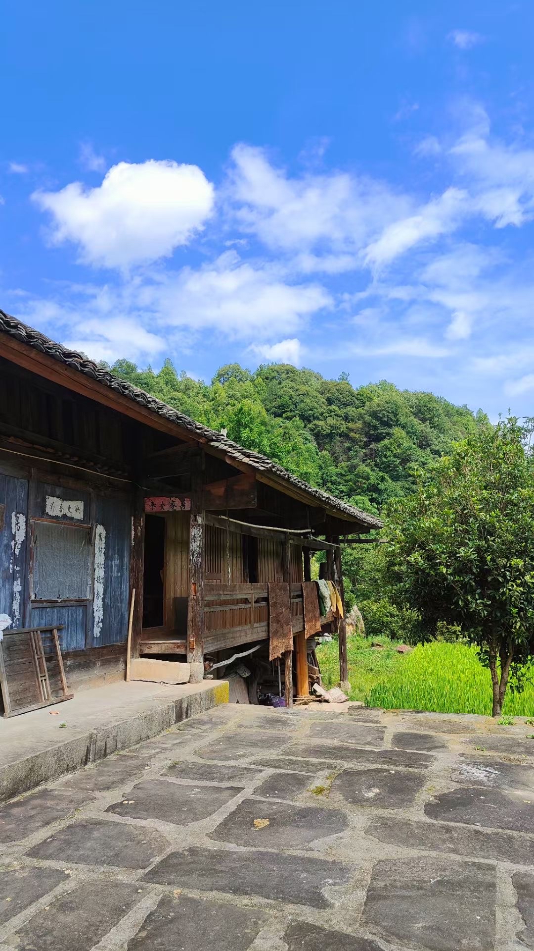 张家界桑植旅游打卡攻略