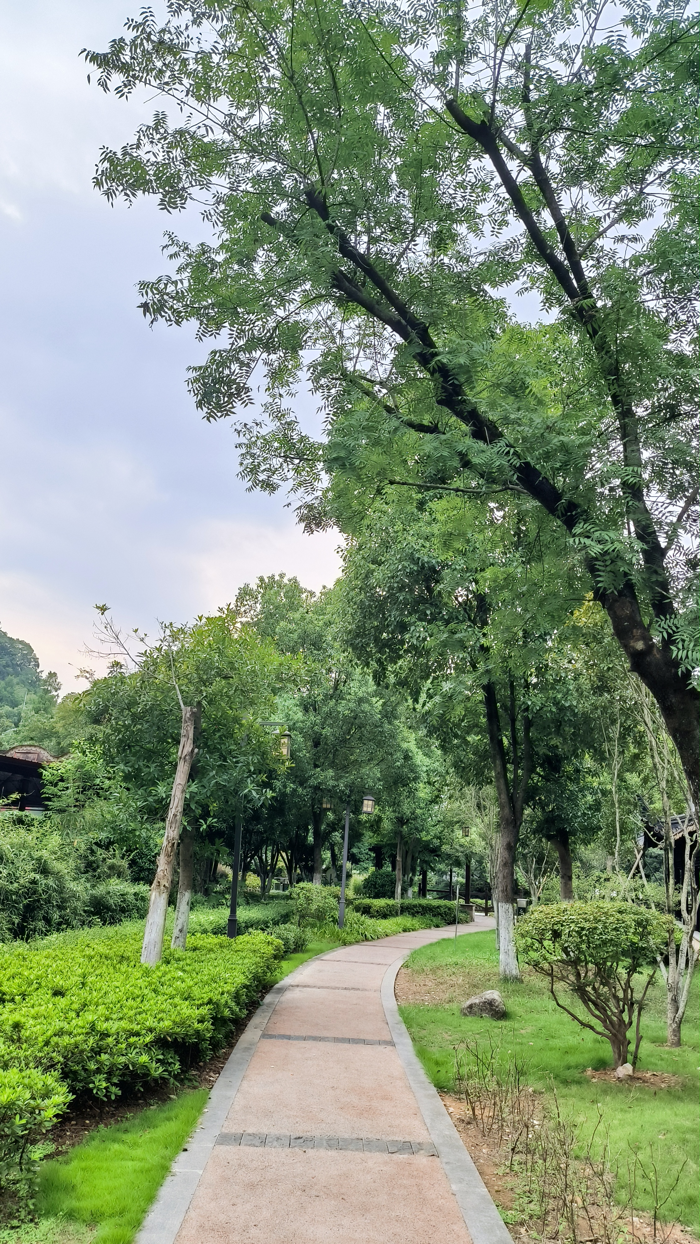 秋日里的九峰公园,树木阴郁,花草繁盛