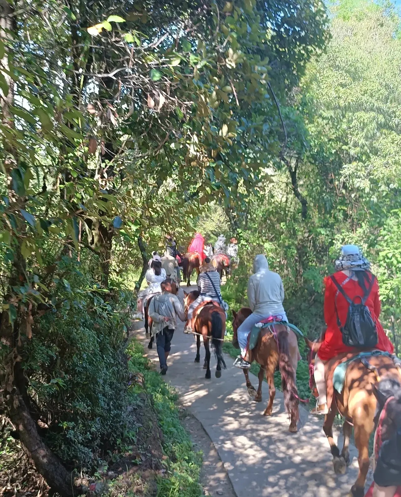 说是骑行,其实就是骑马走茶马古道,听起来挺有诗意的,但真心讲,我其实