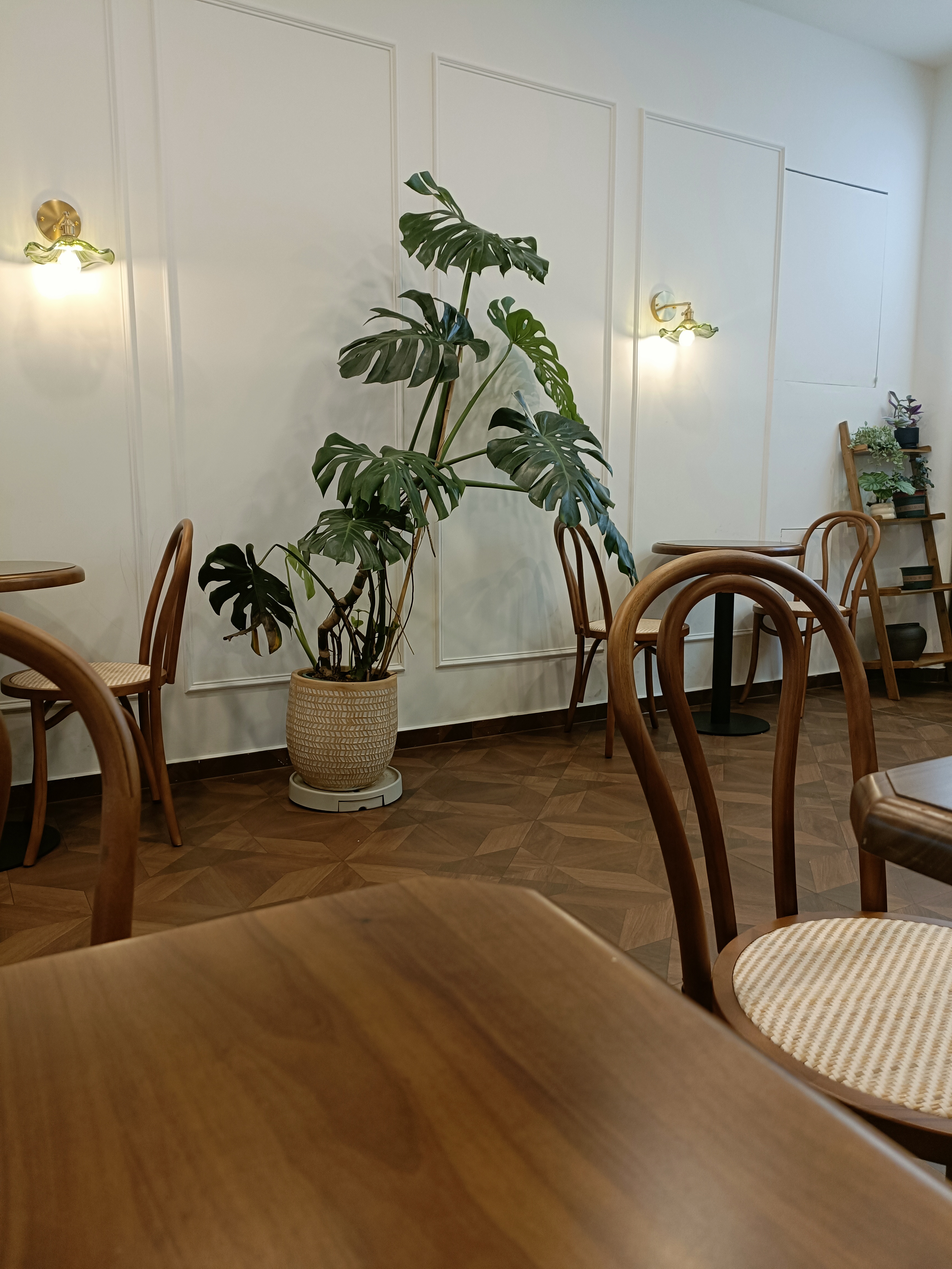 直到上次在附近买甜品时,这才引起了我的注意