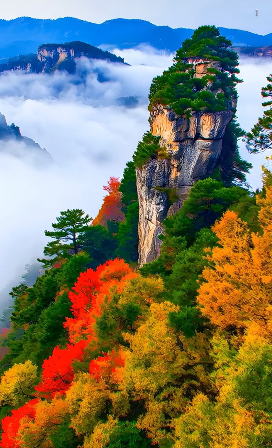 金秋,美丽的景色,总是令人心旷神怡