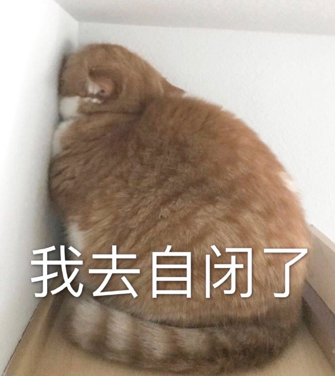 每个灵魂都渴望被看见,被理解