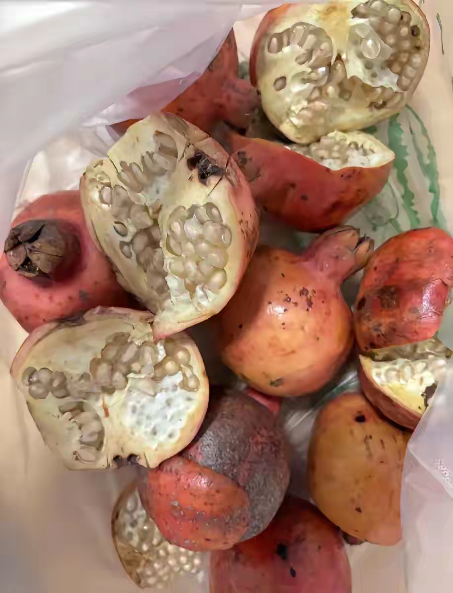 天色渐黑,他的石榴所剩不多.出于好心,想着全买了让老人早点回家休息