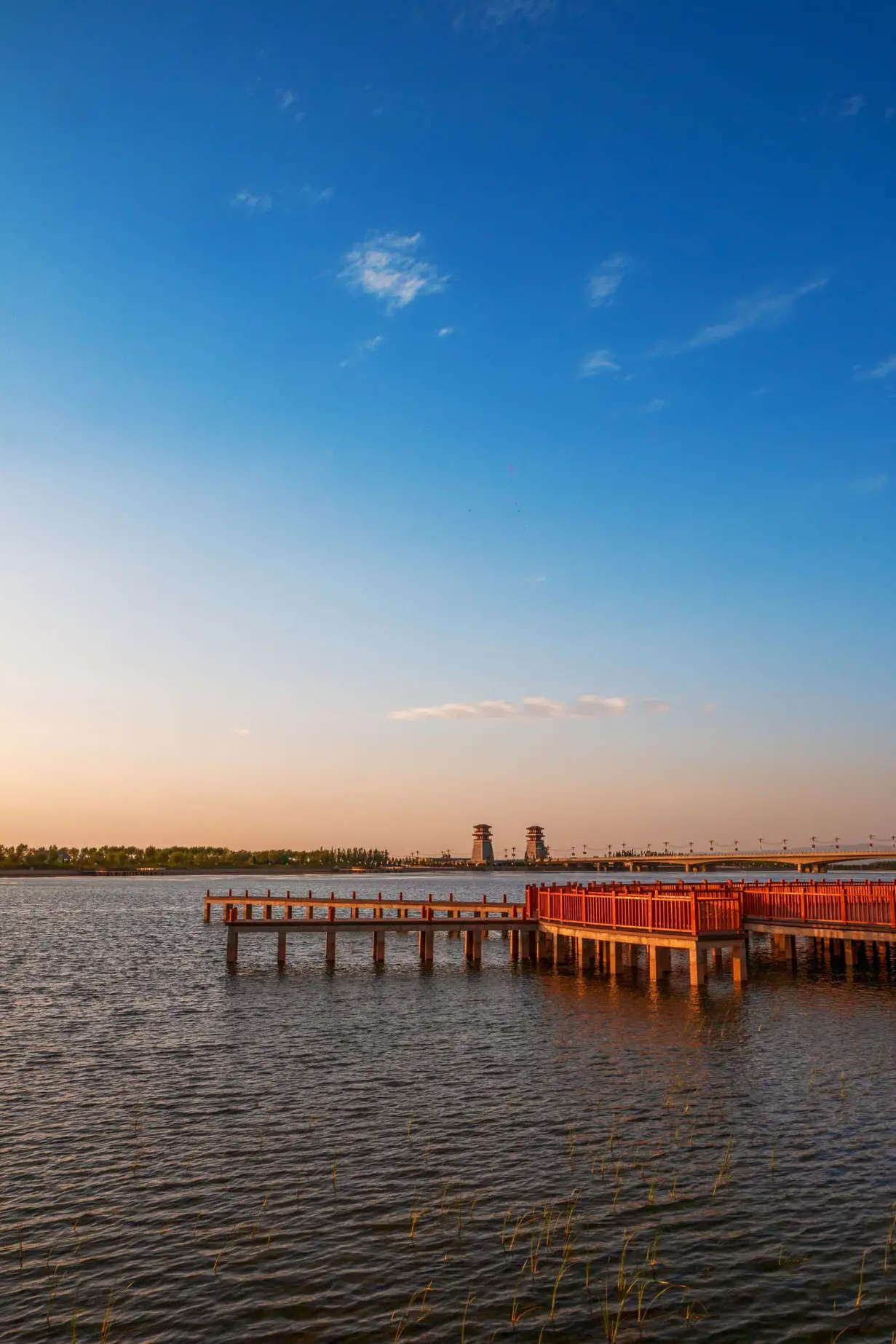 想在职场爬得高,光拍领导马屁可不够,同事关系也得打理得井井有条